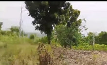 Load image into Gallery viewer, 2.4 hectares clean title lot for sale in Batuan Bohol Philippines 1m only