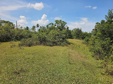 Load image into Gallery viewer, 8,965 sqm clean title for sale in Catigbian Bohol Philippines 1m only