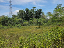 Load image into Gallery viewer, 1.3 hectares clean title for sale near highway, Police station and hospital in Poblacion Catigbian Bohol 2.5m
