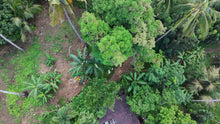 Load image into Gallery viewer, 5,370 sqm clean title for sale in Ilihan Tubigon Bohol Philippines 1.5m