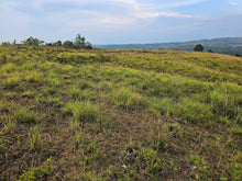 Load image into Gallery viewer, Overlooking lot cool place 33,525 sqm for sale in Carmen Bohol Philippines 150/sqm