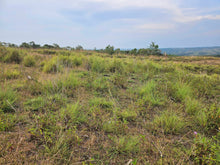 Load image into Gallery viewer, Overlooking lot cool place 33,525 sqm for sale in Carmen Bohol Philippines 150/sqm
