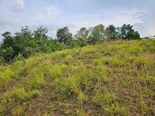 Load image into Gallery viewer, Overlooking lot cool place 33,525 sqm for sale in Carmen Bohol Philippines 150/sqm