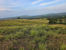 Load image into Gallery viewer, Overlooking lot cool place 33,525 sqm for sale in Carmen Bohol Philippines 150/sqm