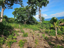 Load image into Gallery viewer, Overlooking lot for sale near highway &amp; beaches in Guindulman Bohol Philippines