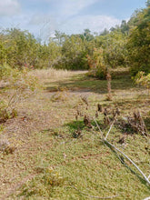 Load image into Gallery viewer, LOT FOR SALE IN BALILIHAN, BOHOL