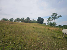 Load image into Gallery viewer, Overlooking lot for sale near highway in Carmen Bohol