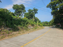 Load image into Gallery viewer, Overlooking lot for sale near highway &amp; beaches in Guindulman Bohol Philippines