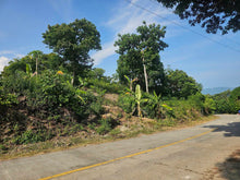 Load image into Gallery viewer, Overlooking lot for sale near highway &amp; beaches in Guindulman Bohol Philippines