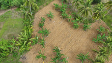 Load image into Gallery viewer, 2,495 sqm clean title for sale in Aloguinsan Cebu Philippines