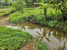 Load image into Gallery viewer, Overlooking lot for sale near highway in Carmen Bohol