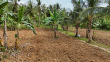 Load image into Gallery viewer, 2,495 sqm clean title for sale in Aloguinsan Cebu Philippines