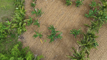Load image into Gallery viewer, 2,495 sqm clean title for sale in Aloguinsan Cebu Philippines