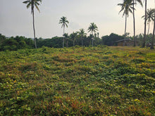Load image into Gallery viewer, 4 hectares clean title for sale in Buenavista Carmen Bohol