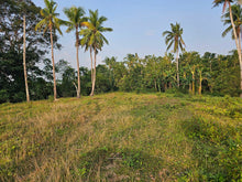 Load image into Gallery viewer, 4 hectares clean title for sale in Buenavista Carmen Bohol