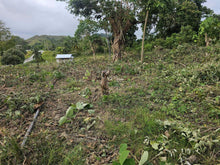 Load image into Gallery viewer, Overlooking lot for sale near highway &amp; beaches in Guindulman Bohol Philippines