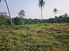 Load image into Gallery viewer, 4 hectares clean title for sale in Buenavista Carmen Bohol