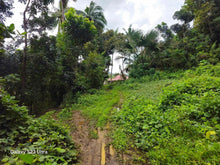 Load image into Gallery viewer, 5,370 sqm clean title for sale in Ilihan Tubigon Bohol Philippines 1.5m