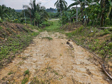 Load image into Gallery viewer, 8,965 sqm clean title for sale in Catigbian Bohol Philippines 1m only