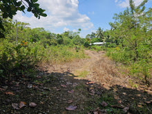 Load image into Gallery viewer, 1.3 hectares clean title for sale near highway, Police station and hospital in Poblacion Catigbian Bohol 2.5m