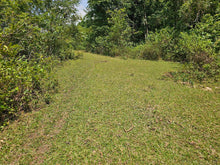 Load image into Gallery viewer, 8,965 sqm clean title for sale in Catigbian Bohol Philippines 1m only
