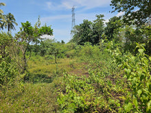 Load image into Gallery viewer, 1.3 hectares clean title for sale near highway, Police station and hospital in Poblacion Catigbian Bohol 2.5m