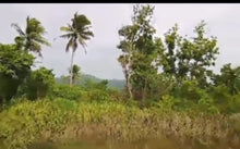 Load image into Gallery viewer, 2.4 hectares clean title lot for sale in Batuan Bohol Philippines 1m only