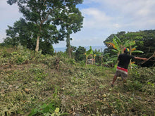 Load image into Gallery viewer, Overlooking lot for sale near highway &amp; beaches in Guindulman Bohol Philippines