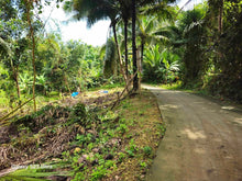 Load image into Gallery viewer, 5,370 sqm clean title for sale in Ilihan Tubigon Bohol Philippines 1.5m