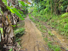 Load image into Gallery viewer, 5,370 sqm clean title for sale in Ilihan Tubigon Bohol Philippines 1.5m
