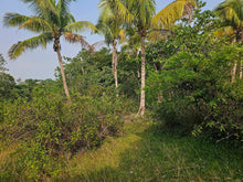 Load image into Gallery viewer, Overlooking lot for sale near highway in Carmen Bohol