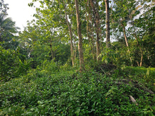Load image into Gallery viewer, Overlooking lot for sale near highway in Carmen Bohol