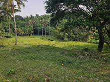 Load image into Gallery viewer, Overlooking lot for sale near highway in Carmen Bohol