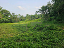 Load image into Gallery viewer, Overlooking lot for sale near highway in Carmen Bohol