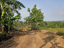 Load image into Gallery viewer, Overlooking lot for sale near highway in Carmen Bohol