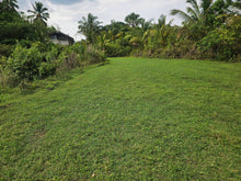 Load image into Gallery viewer, 1 hectare for sale with coconut trees &amp; ricefields in Catigbian Bohol Philippines 150/sqm