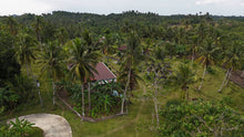 Load image into Gallery viewer, 1.8 hectares for sale Catigbian Bohol Philippines 150/sqm  negotiable