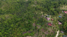 Load image into Gallery viewer, 1.8 hectares for sale Catigbian Bohol Philippines 150/sqm  negotiable