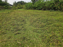 Load image into Gallery viewer, 1 hectare for sale with coconut trees &amp; ricefields in Catigbian Bohol Philippines 150/sqm