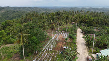 Load image into Gallery viewer, 1.8 hectares for sale Catigbian Bohol Philippines 150/sqm  negotiable
