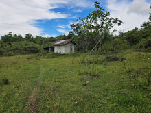 Load image into Gallery viewer, 6,000 sqm clean title with coconut trees and farm house for sale in Catigbian Bohol Philippines