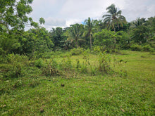 Load image into Gallery viewer, 6,000 sqm clean title with coconut trees and farm house for sale in Catigbian Bohol Philippines