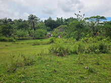 Load image into Gallery viewer, 6,000 sqm clean title with coconut trees and farm house for sale in Catigbian Bohol Philippines