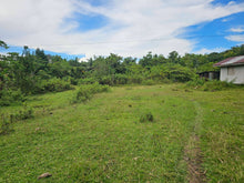 Load image into Gallery viewer, 6,000 sqm clean title with coconut trees and farm house for sale in Catigbian Bohol Philippines