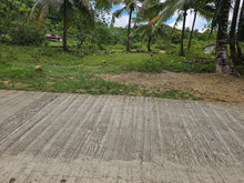 Load image into Gallery viewer, 6,000 sqm clean title with coconut trees and farm house for sale in Catigbian Bohol Philippines