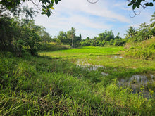 Load image into Gallery viewer, Bohol lot for sale 70,558 sqm clean title 100/sqm