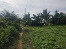 Load image into Gallery viewer, Bohol lot for sale 70,558 sqm clean title 100/sqm