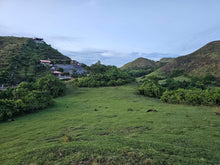 Load image into Gallery viewer, Overlooking seaview lot for sale ideal for mountain resort and rest house in Guindulman Bohol