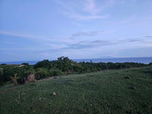 Load image into Gallery viewer, Overlooking seaview lot for sale ideal for mountain resort and rest house in Guindulman Bohol