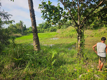 Load image into Gallery viewer, Bohol lot for sale 70,558 sqm clean title 100/sqm